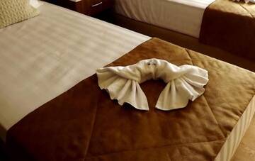 Фото номера Просторный двухместный номер с 2 отдельными кроватями Отель Hotel Amrita г. Сухум 6