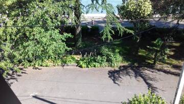 Фото номера Полулюкс Апартаменты Dioskuriya Guest House г. Сухум 7
