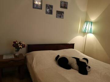Фото номера Двухместный номер с 1 кроватью Гостевой дом Asida Guest House г. Сухум 8