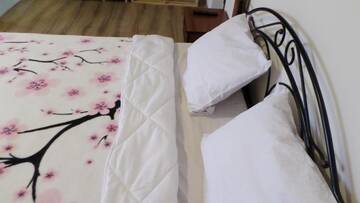 Фото номера Стандартный двухместный номер с 1 кроватью Гостевой дом Mercury Guest House г. Сухум 25