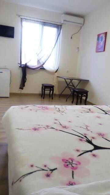 Фото номера Стандартный двухместный номер с 1 кроватью Гостевой дом Mercury Guest House г. Сухум 28