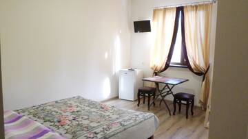 Фото номера Стандартный двухместный номер с 1 кроватью Гостевой дом Mercury Guest House г. Сухум 9